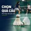 Wsport Vietnam - Shop Cầu lông Chính Hãng Wsport Vietnam - Shop Cầu lông Chính Hãng