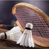 Wsport Vietnam - Shop Cầu lông Chính Hãng Wsport Vietnam - Shop Cầu lông Chính Hãng