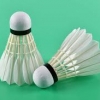 Wsport Vietnam - Shop Cầu lông Chính Hãng Wsport Vietnam - Shop Cầu lông Chính Hãng