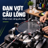 Wsport Vietnam - Shop Cầu lông Chính Hãng Wsport Vietnam - Shop Cầu lông Chính Hãng