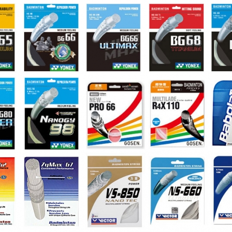 Wsport Vietnam - Shop Cầu lông Chính Hãng