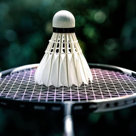 Wsport Vietnam - Shop Cầu lông Chính Hãng